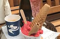 špachtlová zmrzlina solnice