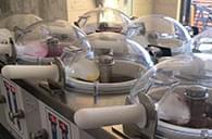 špachtlová zmrzlina solnice