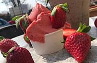 špachtlová zmrzlina solnice