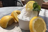 špachtlová zmrzlina solnice