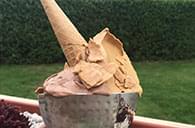 špachtlová zmrzlina solnice