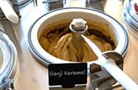 špachtlová zmrzlina solnice