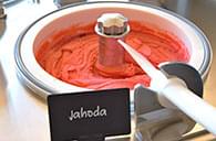 špachtlová zmrzlina solnice