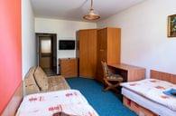 ubytování solnice penzion kocour