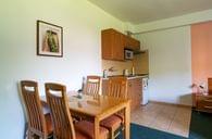 ubytování solnice penzion kocour